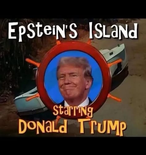 Customer photo review of Sprinter 2019+ - Front Door Mosquito Net (set)