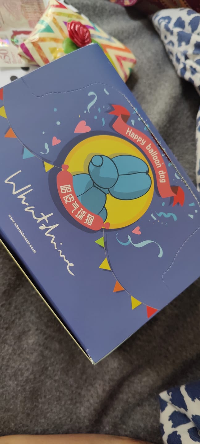Customer photo review of Happy Ballon Dog Series Mini Blind Box