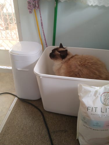 Customer photo review of 1 Month Supply – 2 Cat