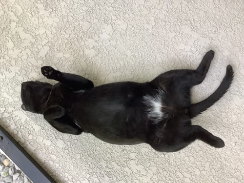 Customer photo review of Shipping & Handling