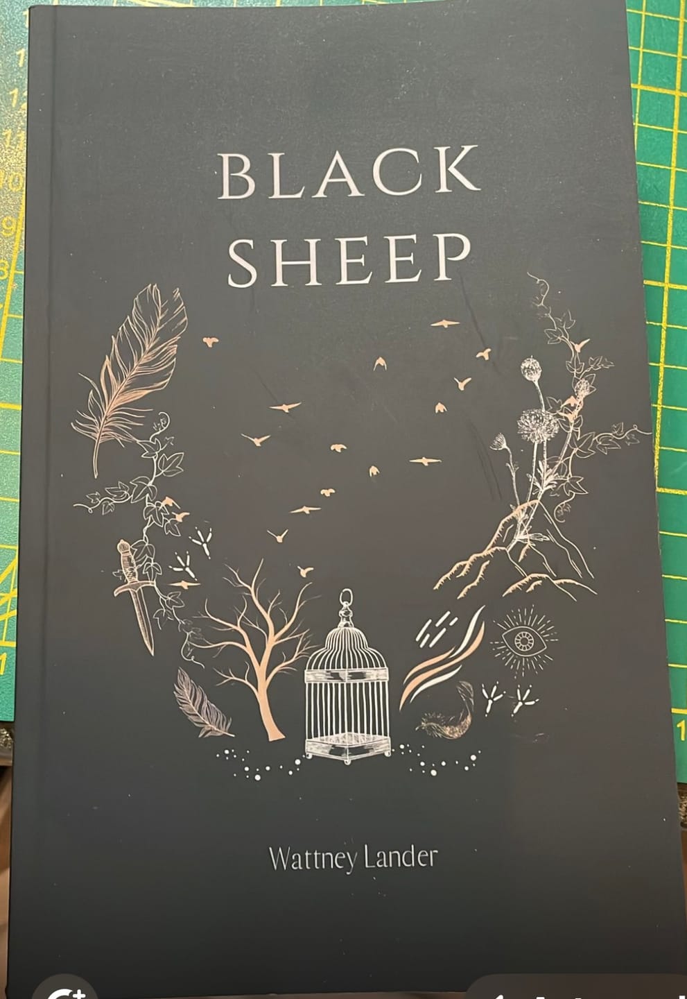 Customer photo review of Black Sheep