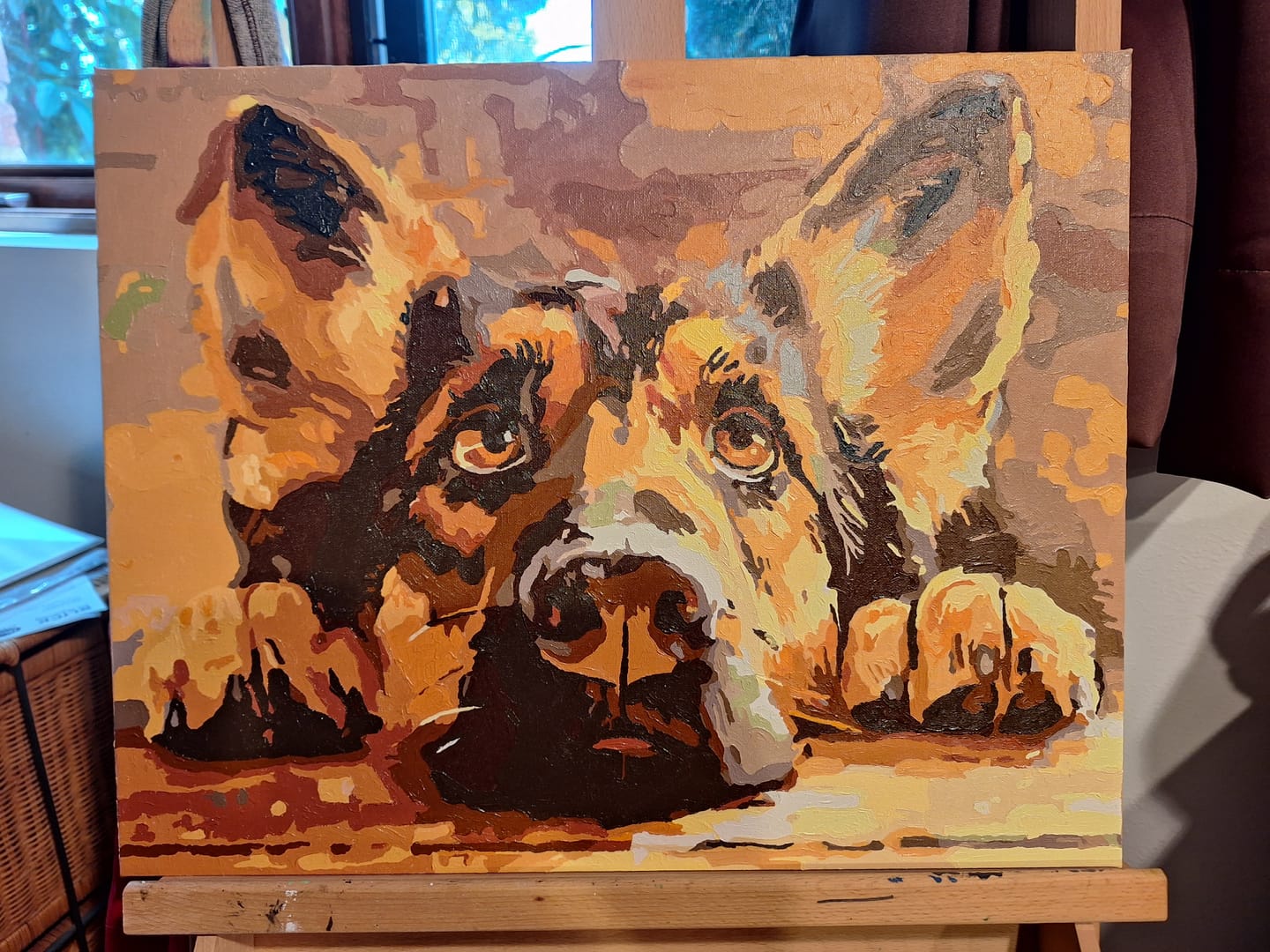 Customer photo review of Bored Shepherd