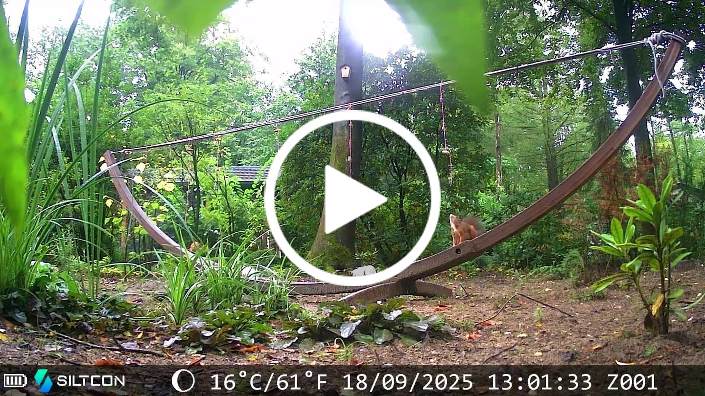 Customer video review of Siltcon® Wildcamera Nachtzicht en wifi 4K