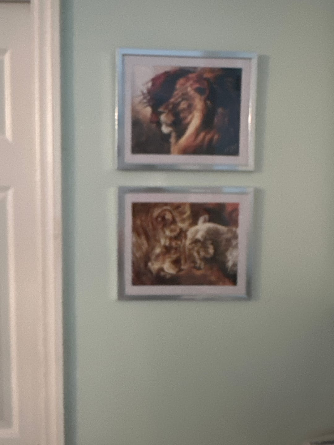 Customer photo review of Compassion of a King (Refined By His Love)