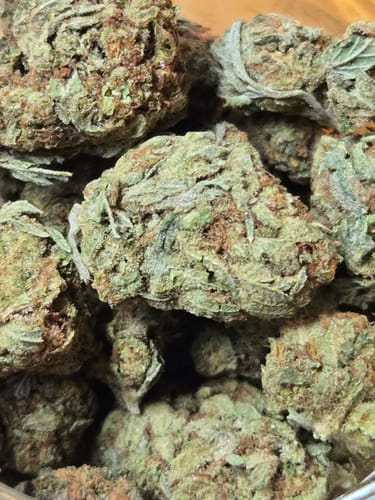 Customer photo review of Orange Creamsicle THCA Flower