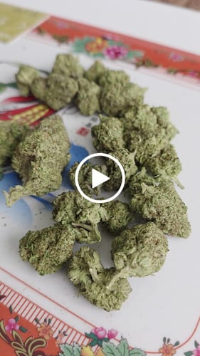 Customer video review of Supernova - Light Dep THCA (Full Size)