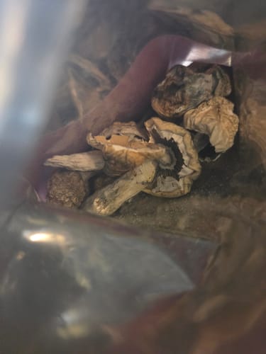 Customer photo review of Non Detect Mushrooms