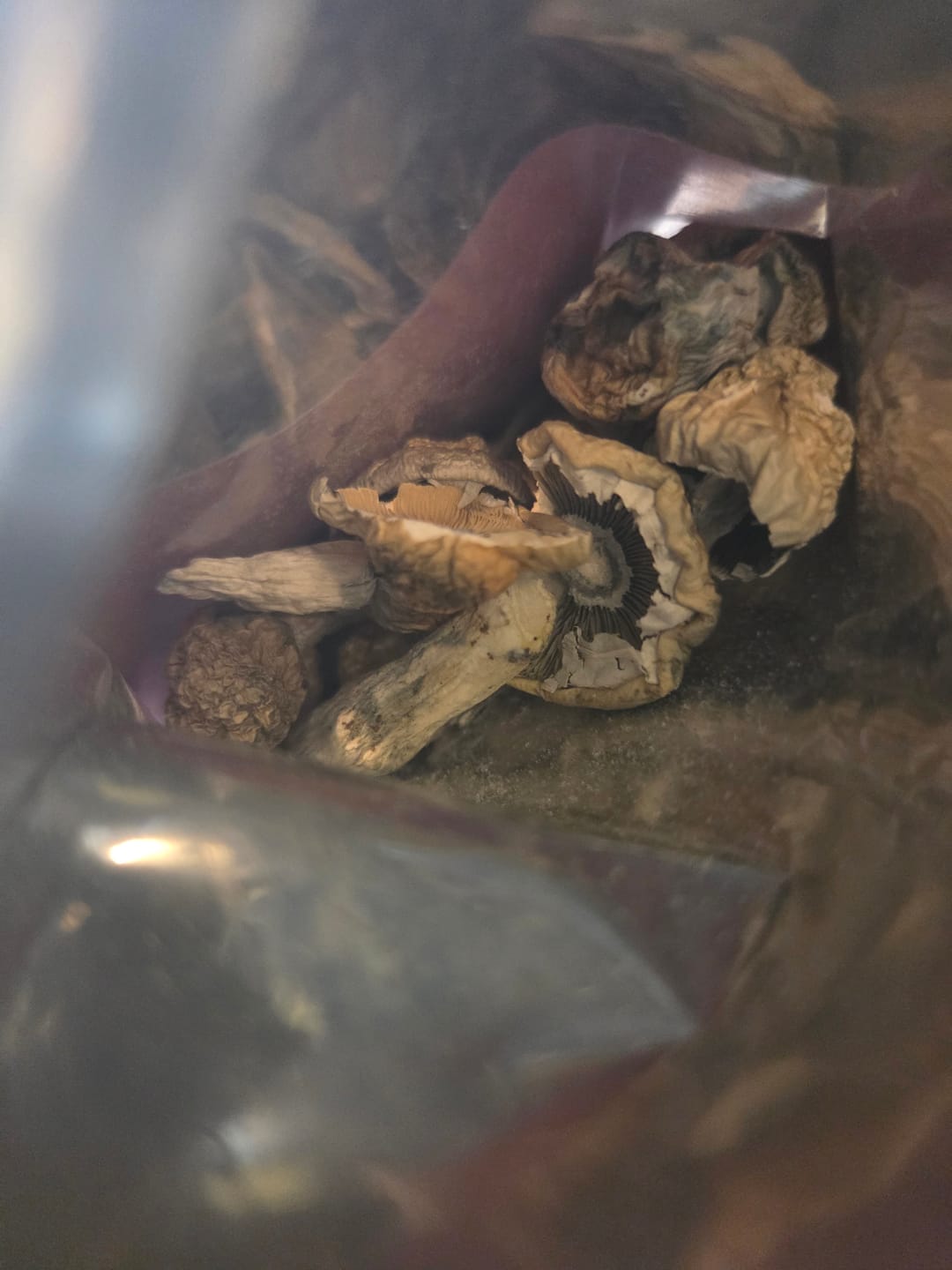 Customer photo review of Non Detect Mushrooms