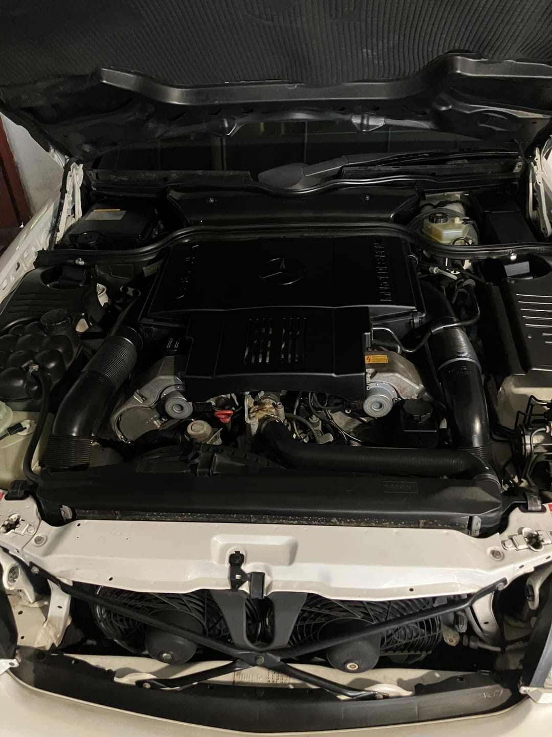 Customer photo review of BLACKLINE® BLACKOUT TRIM & TIRE DRESSING