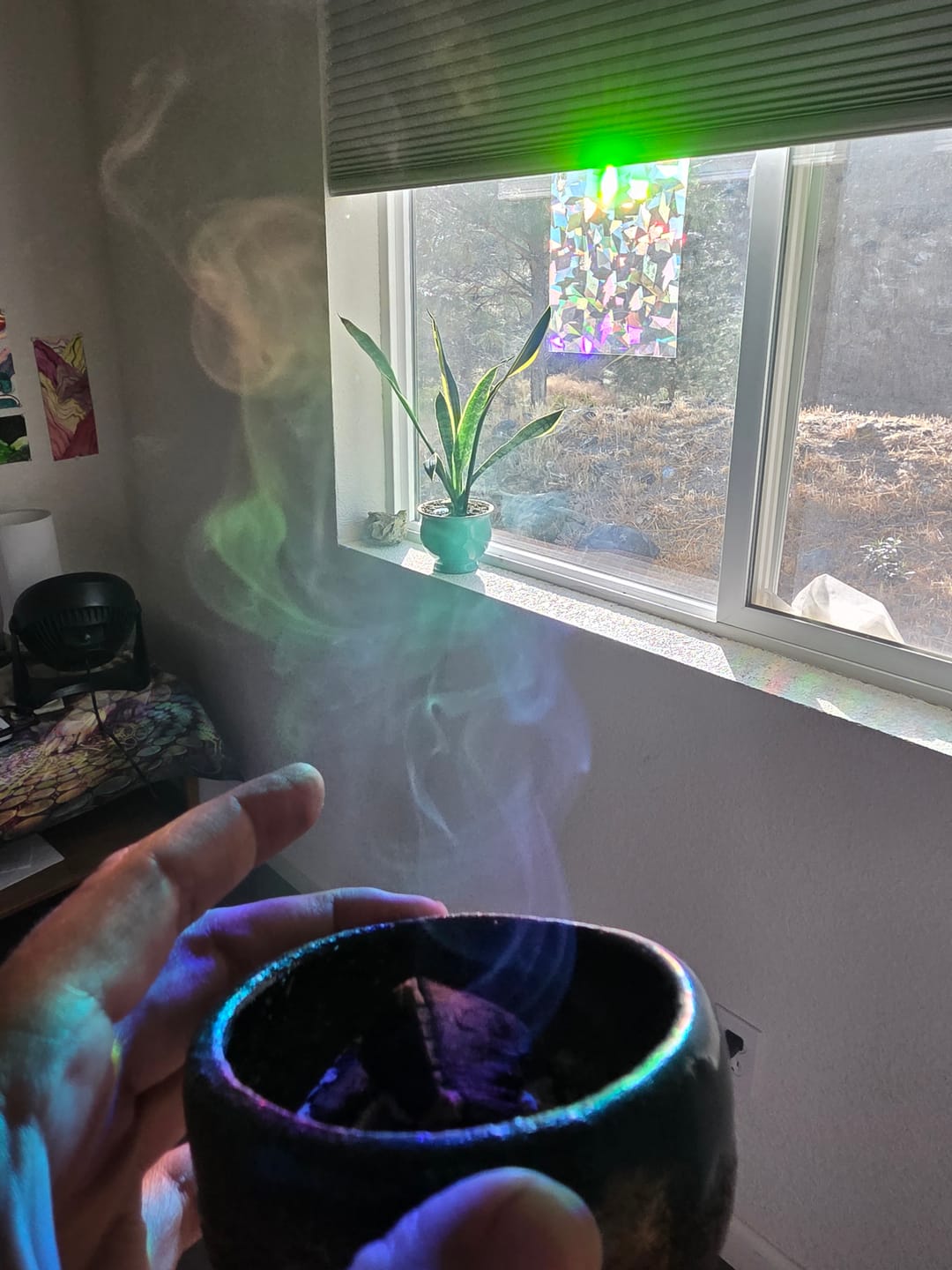 Customer photo review of Palo Santo Smudging Sticks Premium 100 Grams (Approximately 10-15 Sticks)