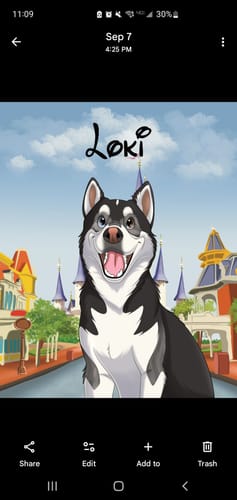 Customer photo review of Custom Hand-Drawn Cartoon Pet Portrait