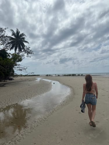 Holly R. review of Sun Shield image 1 out of 1