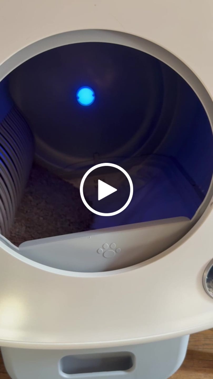 Customer video review of Cumrige M2 Smart Self-Cleaning Litter Box | 95L Extra-Large Automatic Cat Litter Box