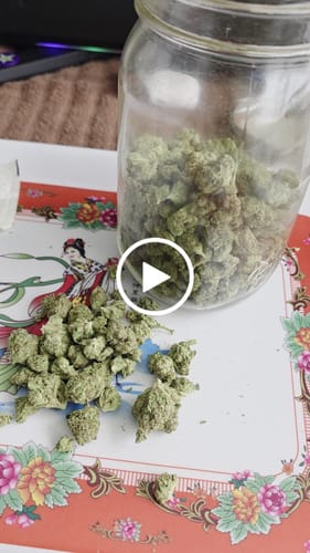 Customer video review of Light Assist THCA Flower