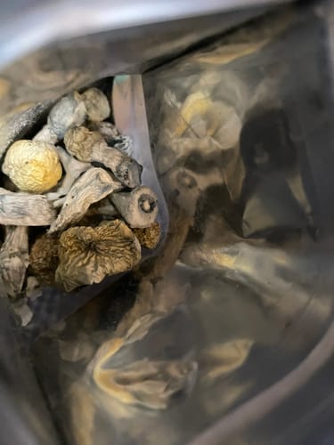 Customer photo review of Non Detect Mushrooms