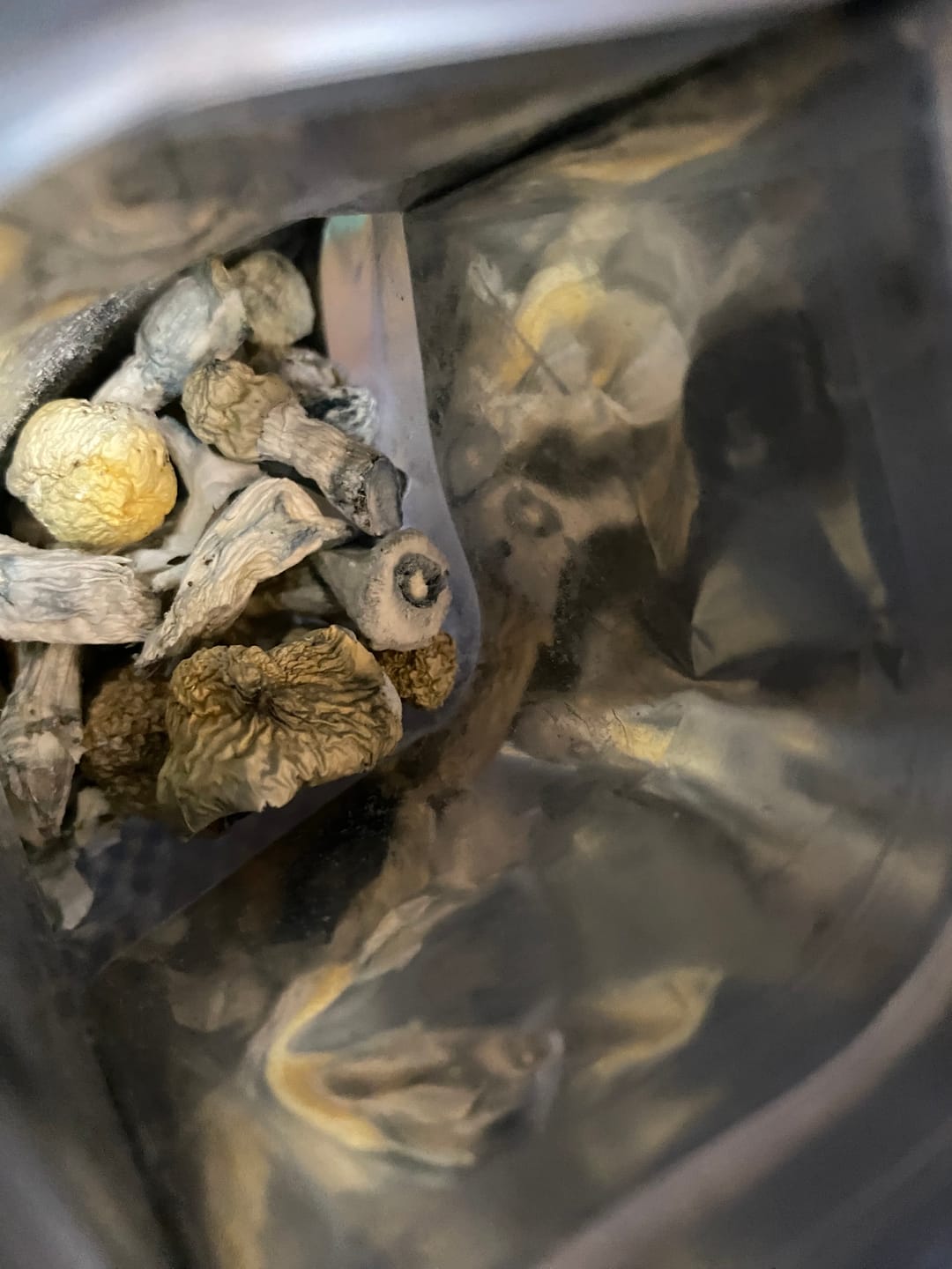 Customer photo review of Non Detect Mushrooms