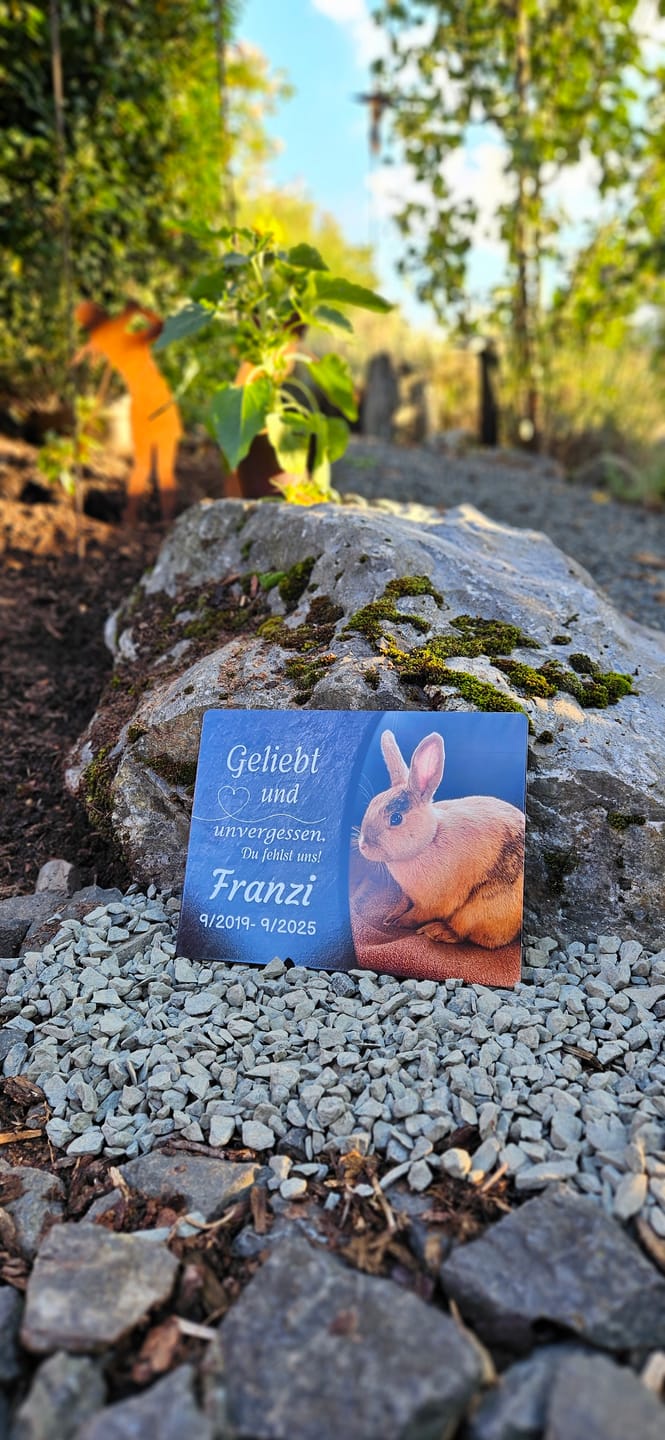 Customer photo review of Kaninchen Gedenktafel mit Foto & Spruch (UV- & Wetterfest)
