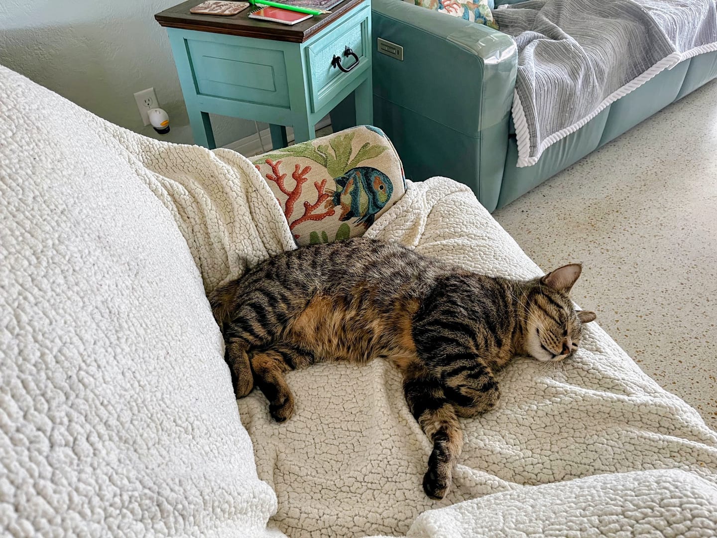 Customer photo review of FurLife™ - All Natural Flea & Tick Spray for Dogs and Cats
