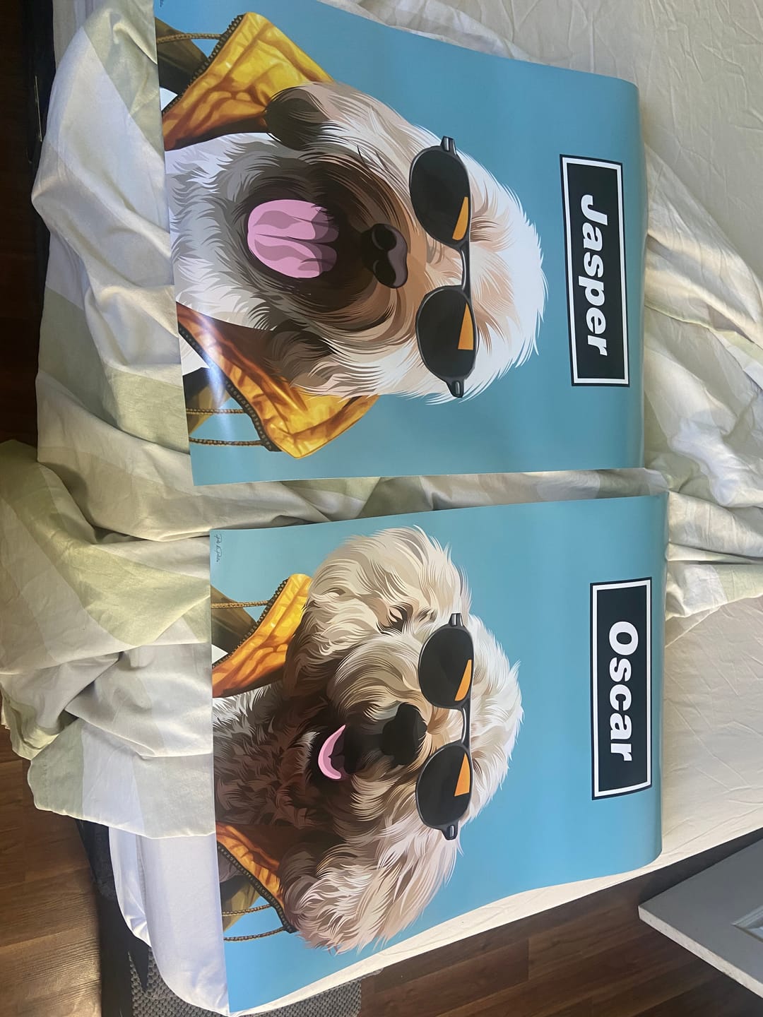 Customer photo review of Wonderwall Artwork + Free 2nd Icon Version