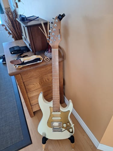Customer photo review of Donner DST-550 Electric Guitar