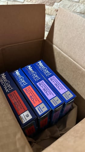 Customer photo review of NexGard Spectra®