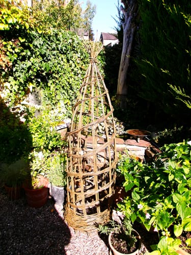 Customer photo review of The Willow Plant Support - Online Course and Kit