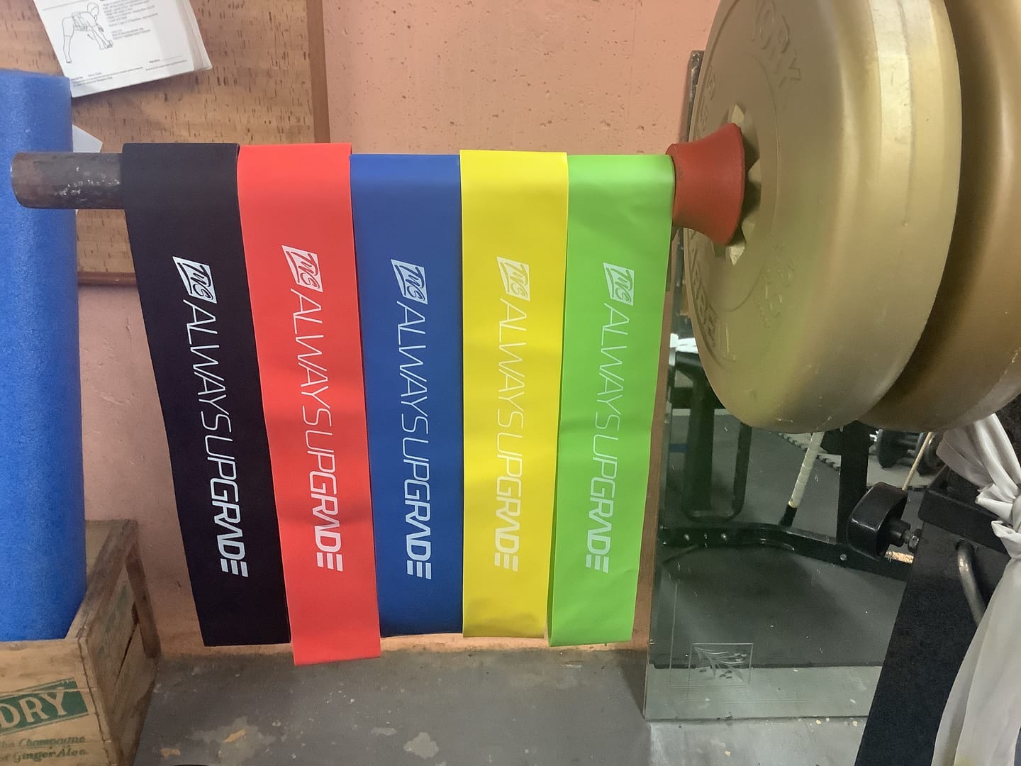 Customer photo review of TWS Glute Bands