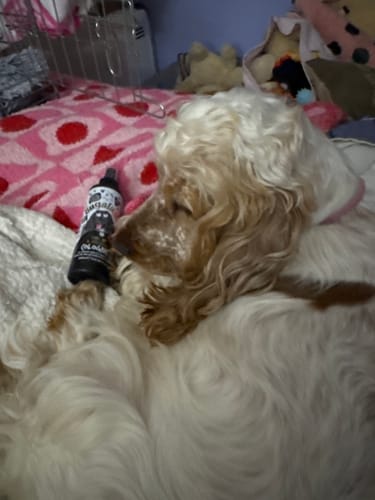 Customer photo review of One in a Million Dog Cologne