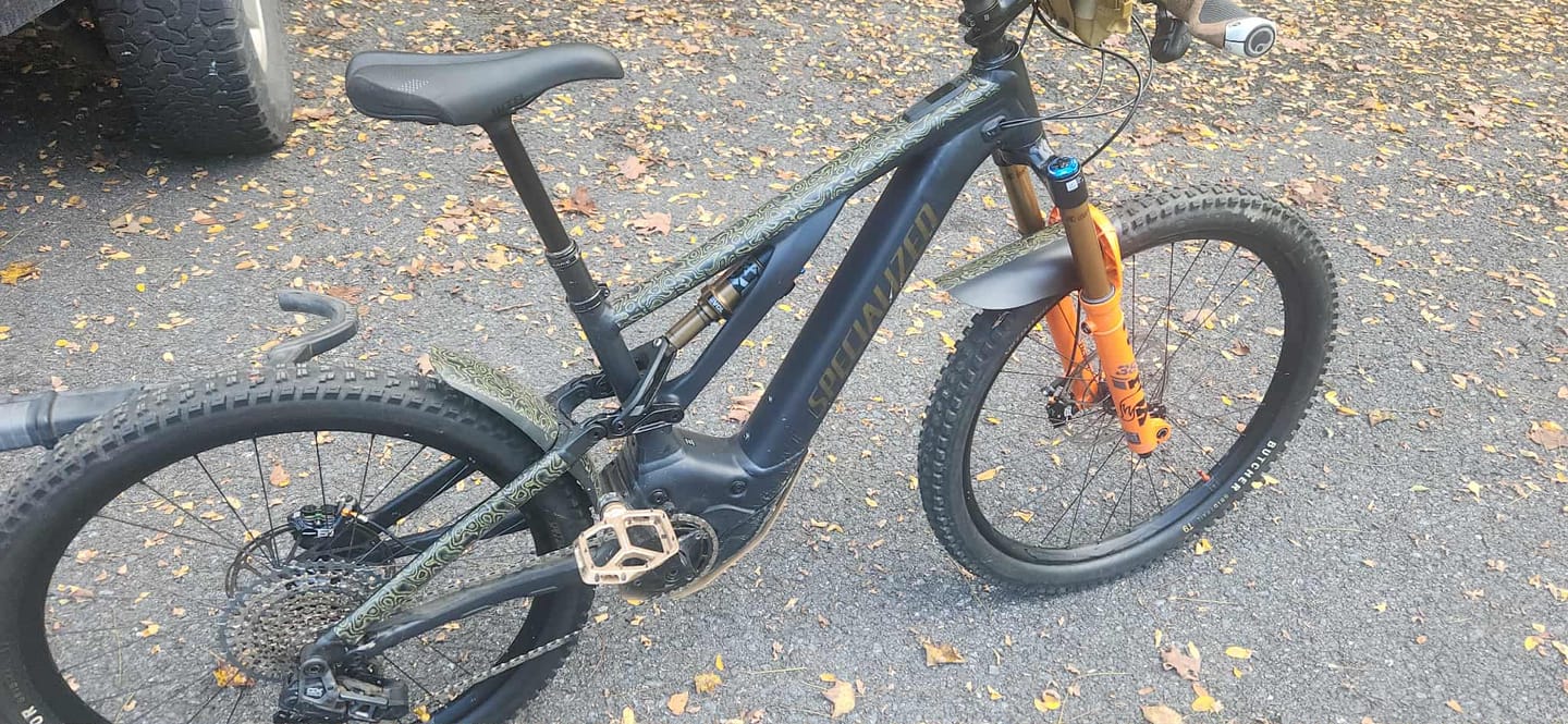 Customer photo review of Snake Charmer Frame Keeper