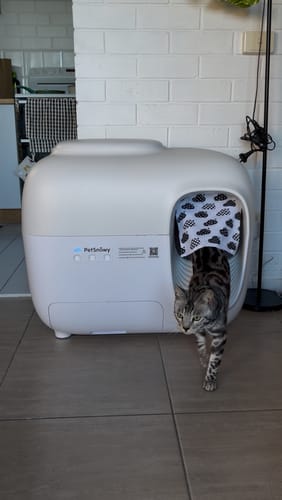 Customer photo review of Self-Cleaning Litter Box