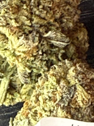 Customer photo review of White Truffles