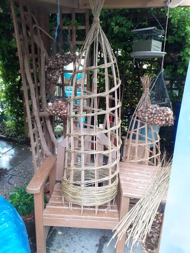 Customer photo review of The Willow Plant Support - Online Course and Kit