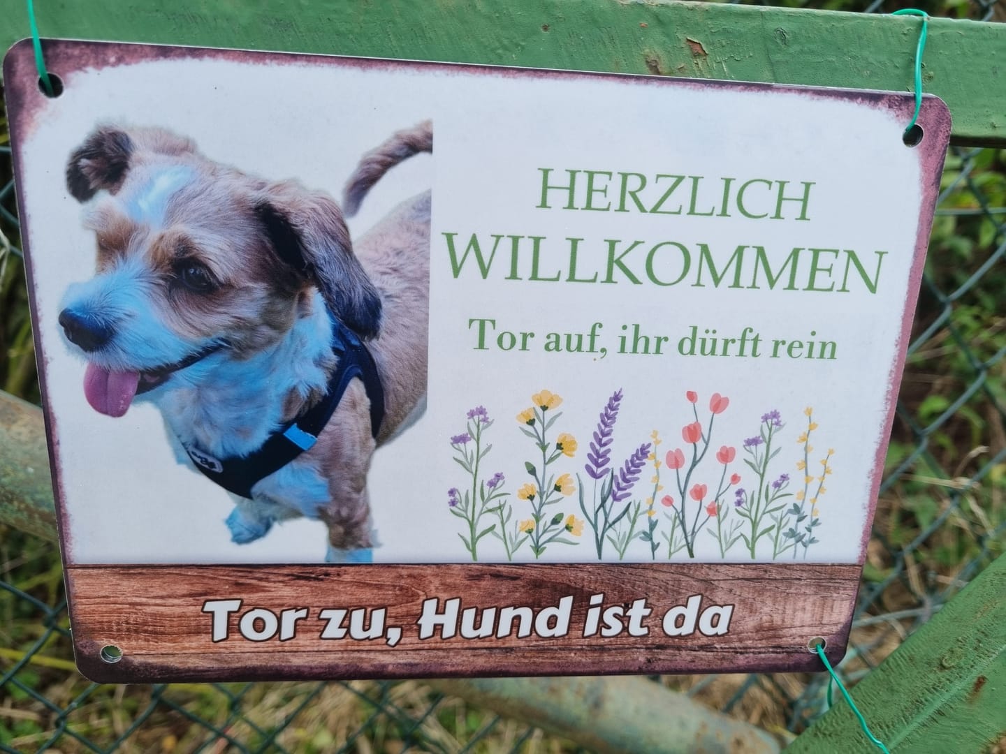 Customer photo review of Hunde Garten-Schild personalisiert mit Foto & Text (UV- und wetterfest)