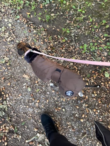 Customer photo review of Ofira Sighthound Coat with Faux Fur Lined Snood