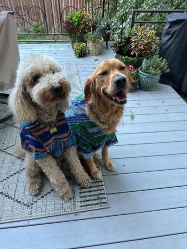 Customer photo review of Playa Poncho - Surprise Color