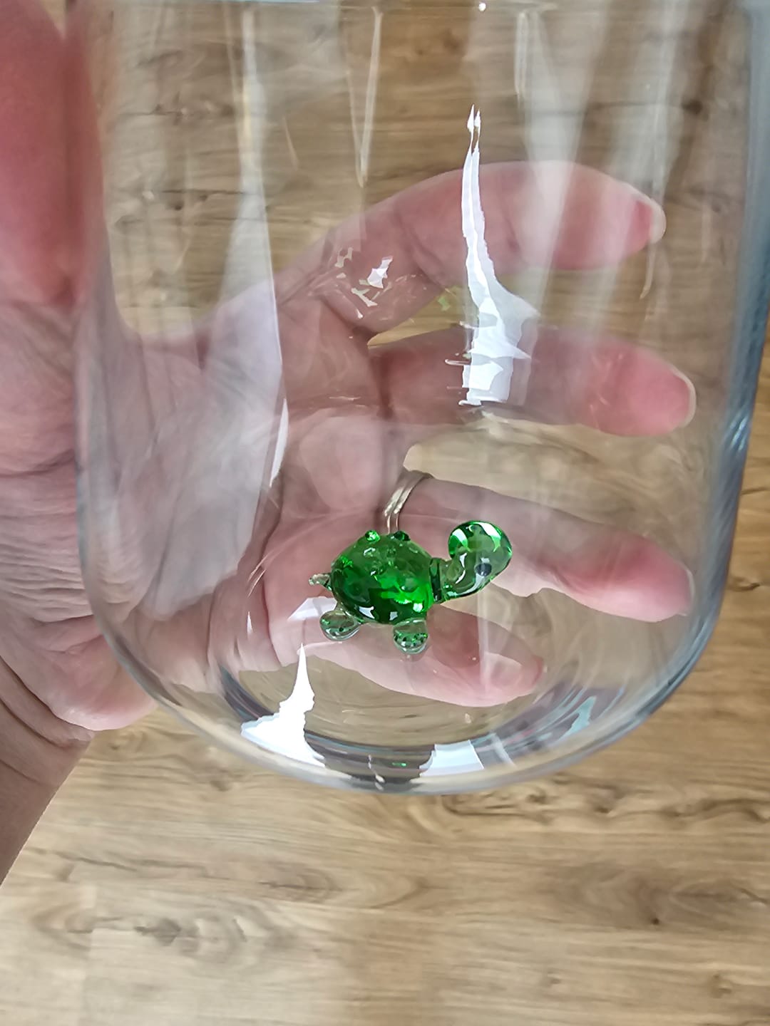 Customer photo review of Turtle Glass