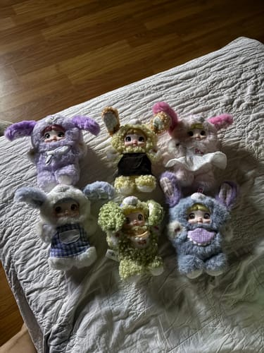 Customer photo review of Nommi Puppy Diary Series Plush Blind Box