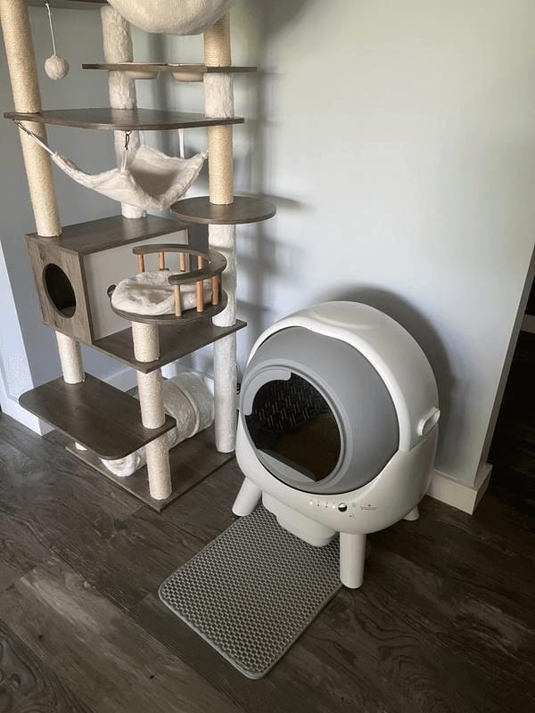 Customer photo review of [🔥Fall Sale] Orbitie Automatic Cat Litter Box for Cats,Superior Odor Control & Whisper-Quiet