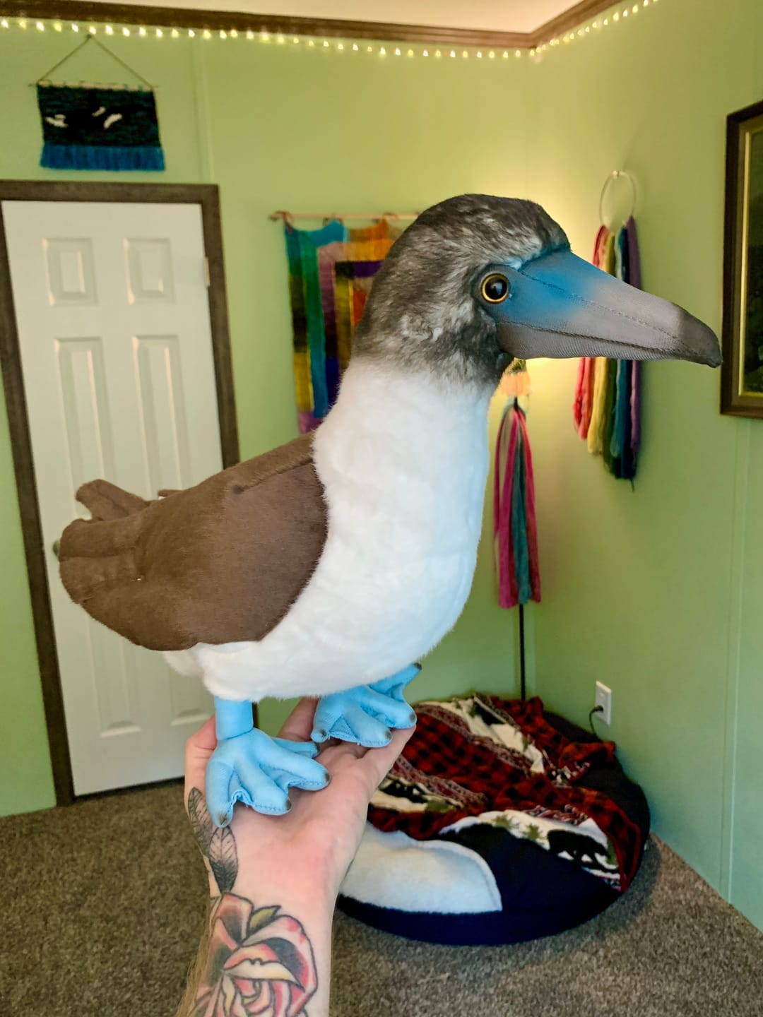 Customer photo review of Realistic Blue-footed Booby Bird Plush Toy – Soft and Lifelike