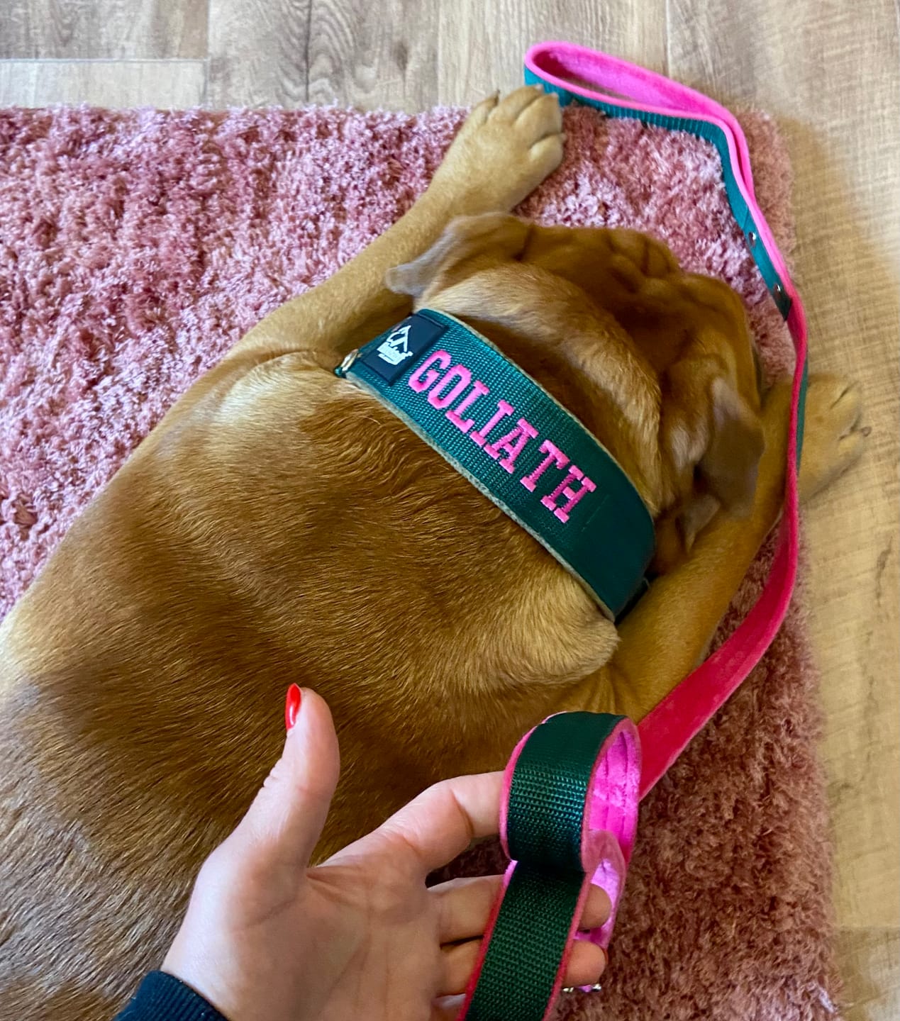 Customer photo review of Martingale halsband med namn