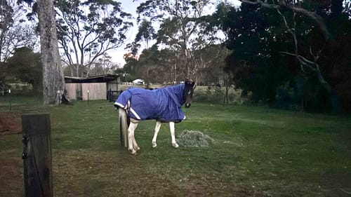 Customer photo review of LE Boxter Turnout 100g