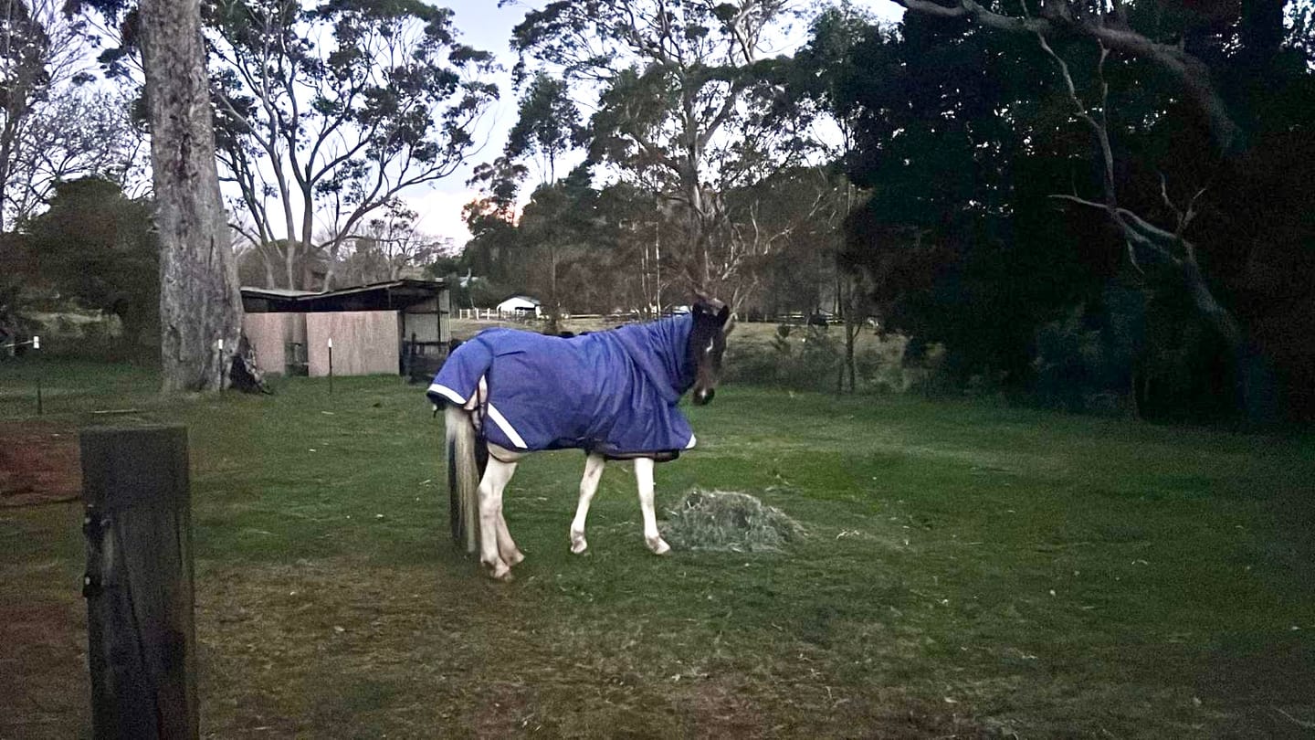 Customer photo review of LE Boxter Turnout 100g