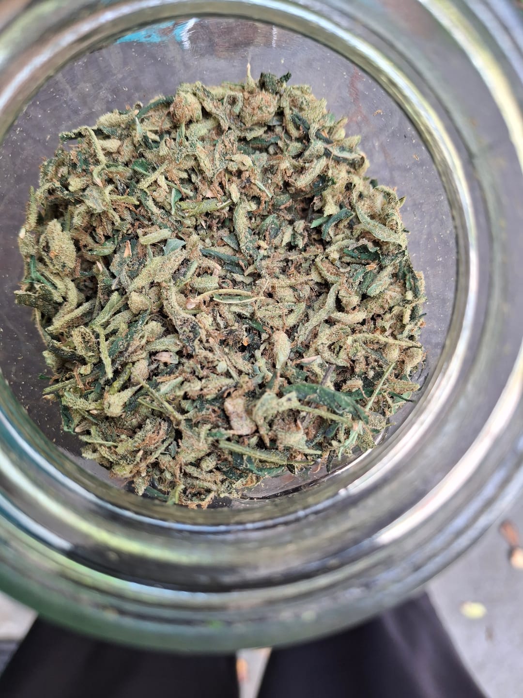 Customer photo review of Exotic Shake
