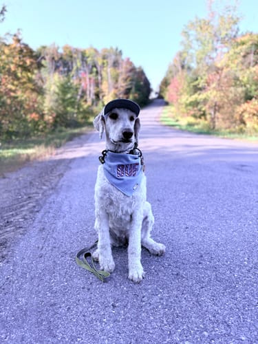 Customer photo review of Embroidered BUF Applique Bandana