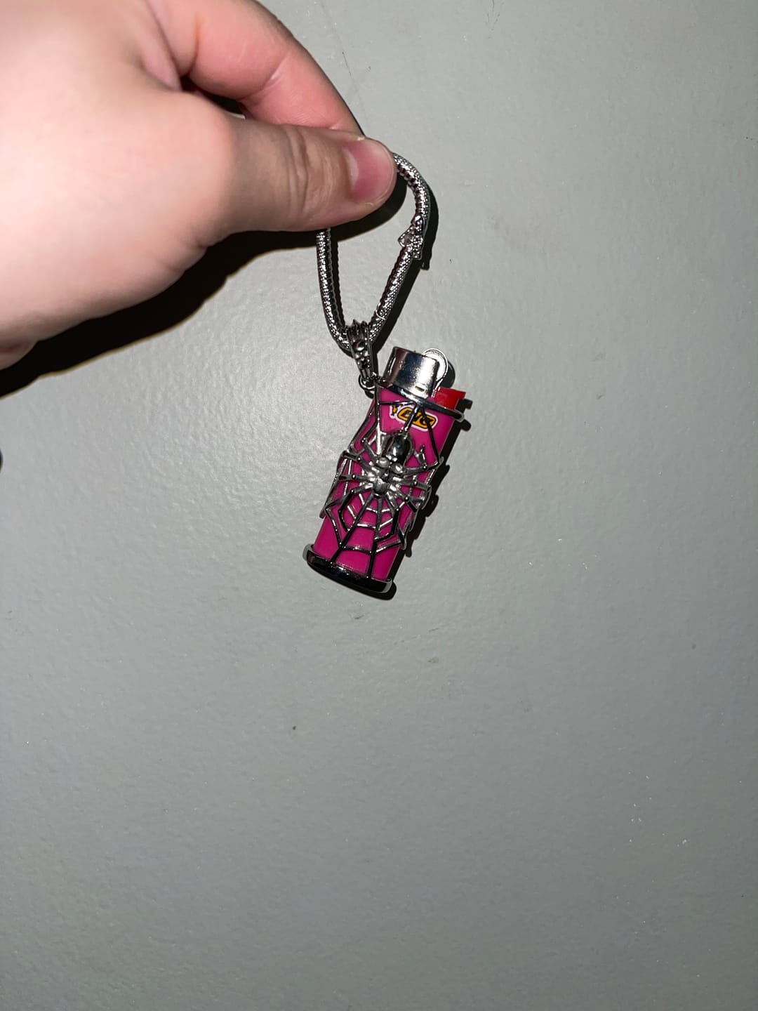 Customer photo review of SPIDER LIGHTER CASE