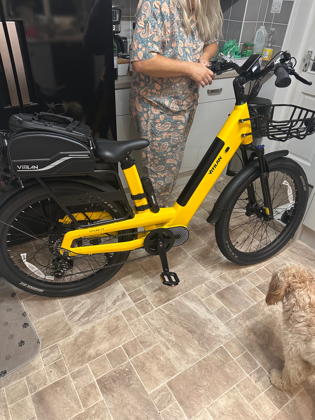 Customer photo review of Vitilan L5 Urban Commuter Electric Bike