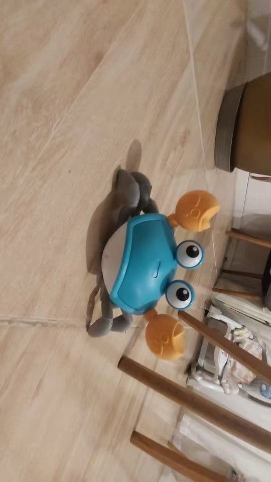 Customer photo review of Crabby - De ultieme uitdaging voor elke hond!
