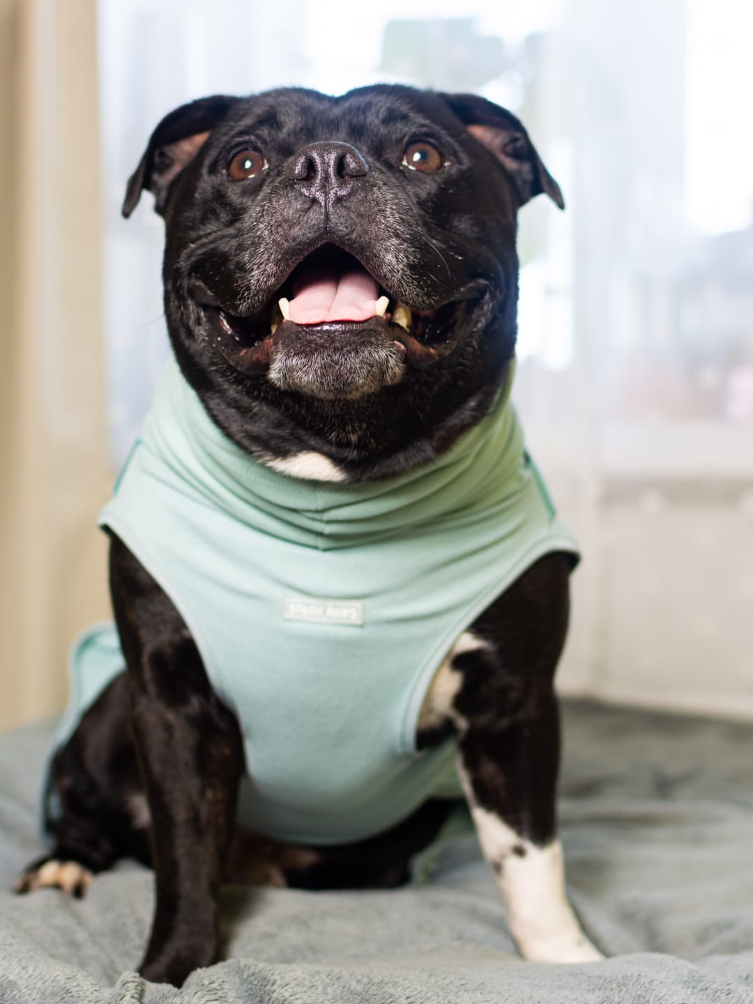 Customer photo review of Anxiety Calming Suit - Teal