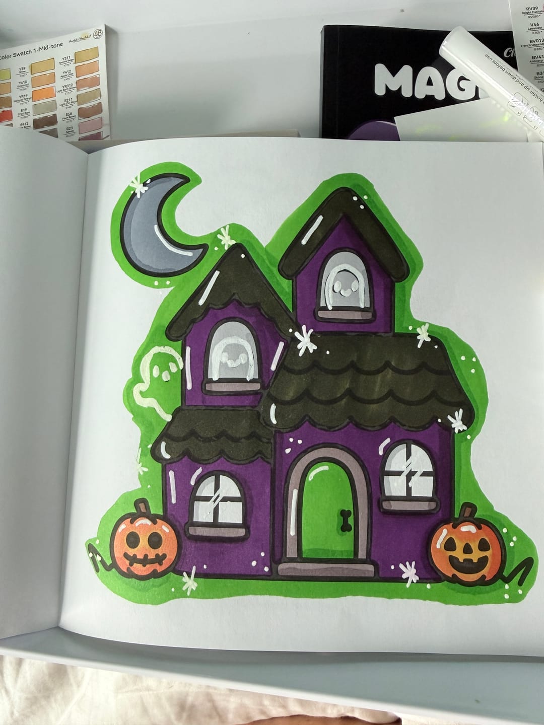Customer photo review of 8-Pack Mystery Pallette of Ohuhu Alcohol Markers with Brush Tips + Wook Books Holographic Marker Bag