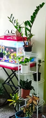 Customer photo review of UnitedCrafts 6 Tier 7 Potted Metal Plant Stand Multiple Shelves